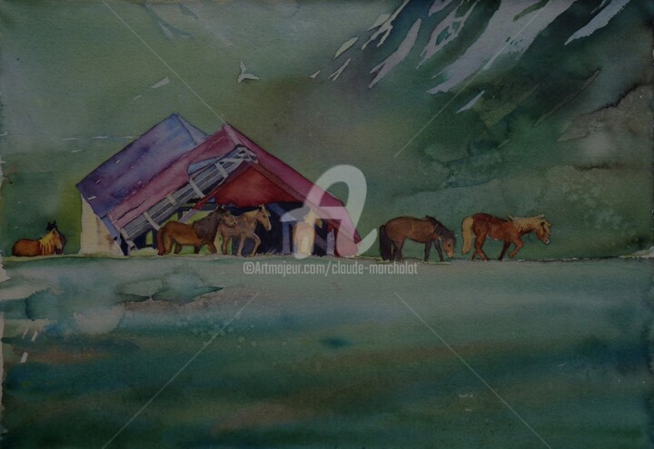 Painting titled "chevaux d'Islande" by Claude Marchalot, Original Artwork, Watercolor Mounted on Cardboard