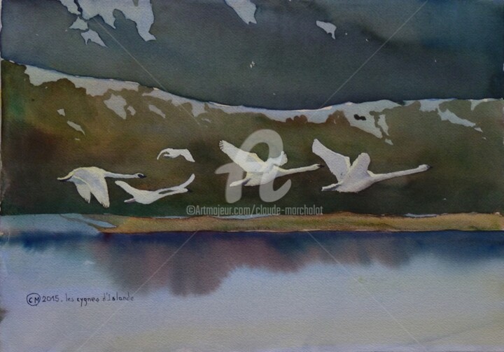 Painting titled "Vol de cygnes" by Claude Marchalot, Original Artwork, Watercolor