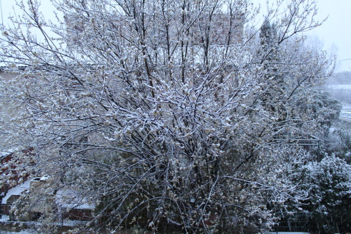 Φωτογραφία με τίτλο "neige" από Claude Conte, Αυθεντικά έργα τέχνης, Ψηφιακή φωτογραφία