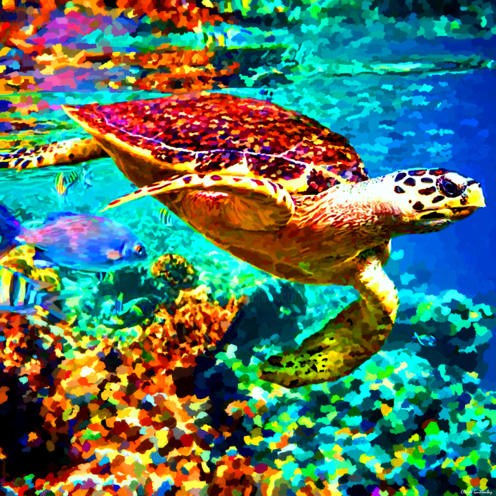 turtle hd tune final signed png claude guillaubey
