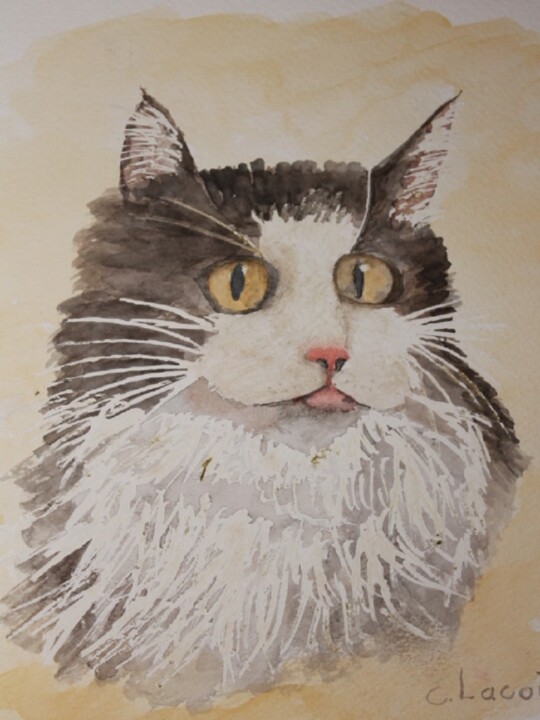 Peinture intitulée "le chat(2)" par Claude Lacointe, Œuvre d'art originale, Aquarelle