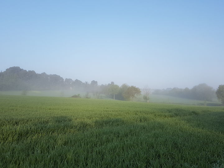 Photographie intitulée "Dans la brume matin…" par Claude Grand, Œuvre d'art originale, Photographie numérique