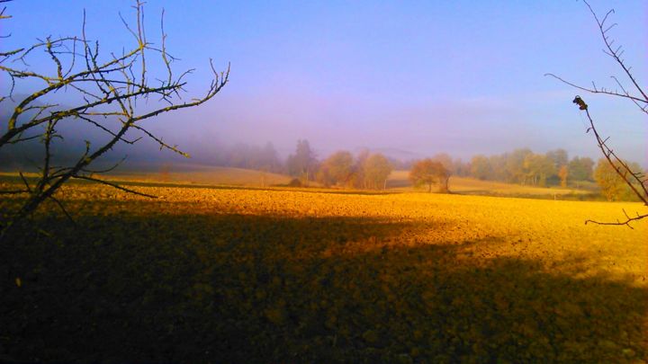 「Couleurs dans la br…」というタイトルの写真撮影 Claude Grandによって, オリジナルのアートワーク, デジタル