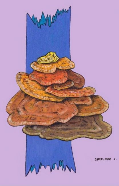 Malerei mit dem Titel "Polypores" von Claude Saint Léger, Original-Kunstwerk