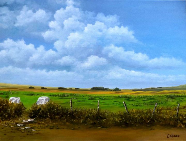 Painting titled "Campo 19" by Claudia Peraita Collazo, Original Artwork, Oil