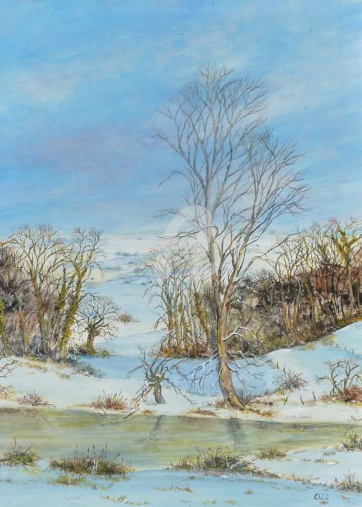 Peinture intitulée "le-gardien-du-lac-2…" par Claudine Brosseron, Œuvre d'art originale,