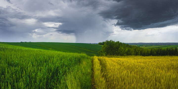 Fotografía titulada "Luminous Storm" por Claudio De Sat, Obra de arte original, Fotografía digital