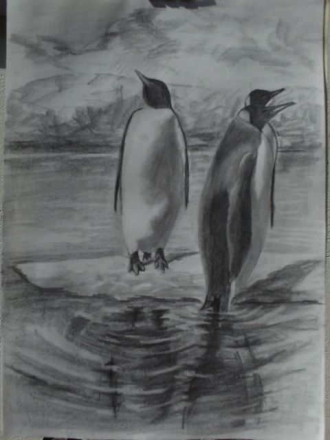 Desenho intitulada "pinguin" por Clayton André De Souza, Obras de arte originais, Outro