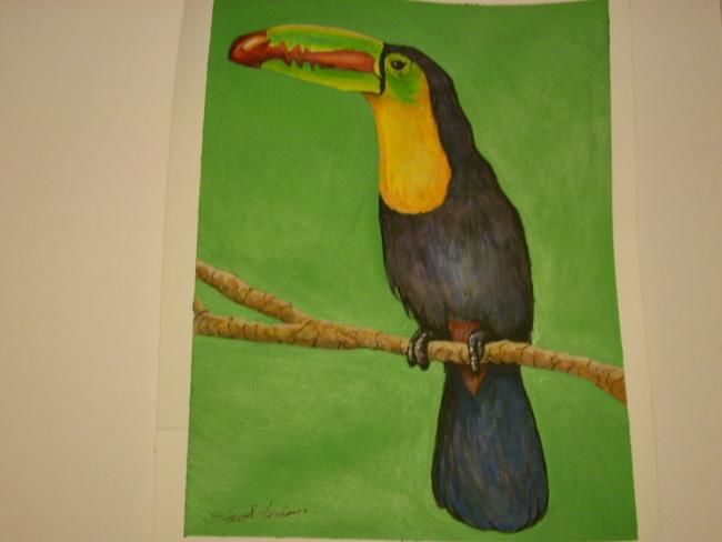 Painting titled "toucan" by Edmond Frechmann, Original Artwork