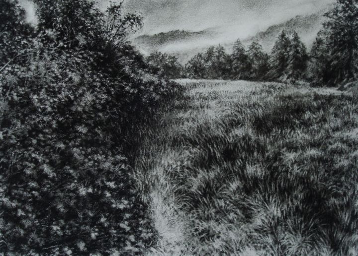 Drawing titled "Morvan 2" by Clémence Wach, Original Artwork, Conté