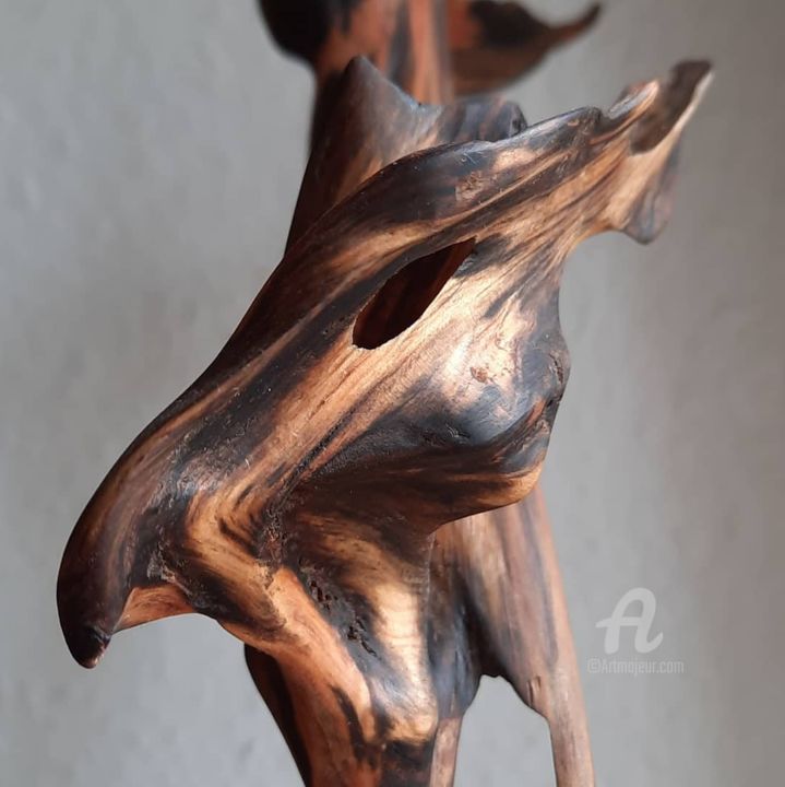 Skulptur mit dem Titel "Drachenbaum / Drago…" von Clemens Voigt, Original-Kunstwerk, Holz