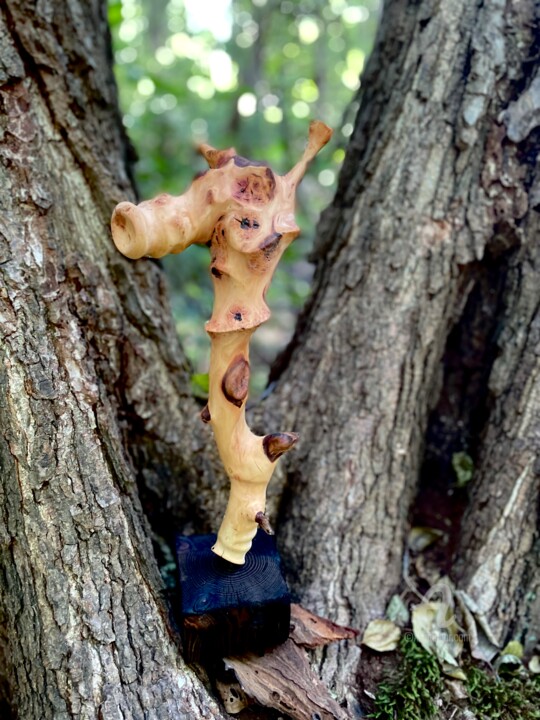 Sculpture titled "Seepferdchen / Sea…" by Clemens Voigt, Original Artwork, Wood