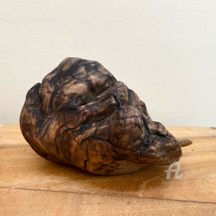 Skulptur mit dem Titel "Shell" von Clemens Voigt, Original-Kunstwerk, Holz