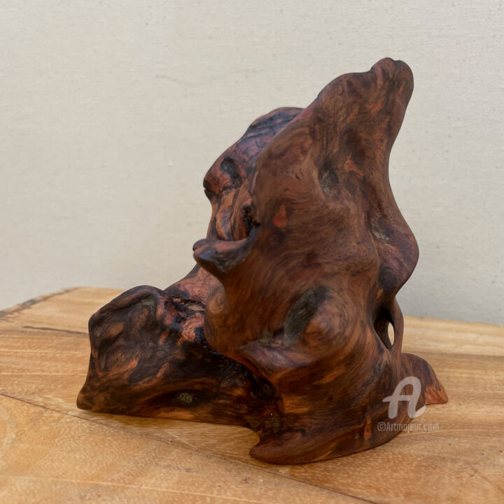 Skulptur mit dem Titel "Venusmuschel / Vene…" von Clemens Voigt, Original-Kunstwerk, Holz