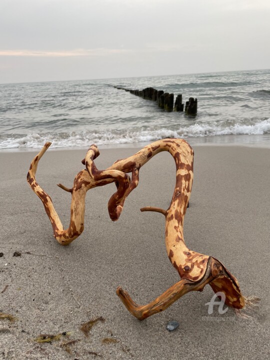 Sculpture intitulée "Windflüsterer / Win…" par Clemens Voigt, Œuvre d'art originale, Bois