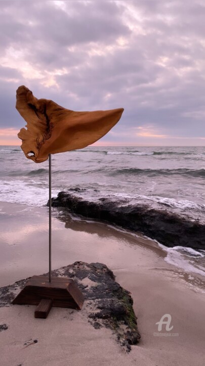 Skulptur mit dem Titel "Sailbird" von Clemens Voigt, Original-Kunstwerk, Holz