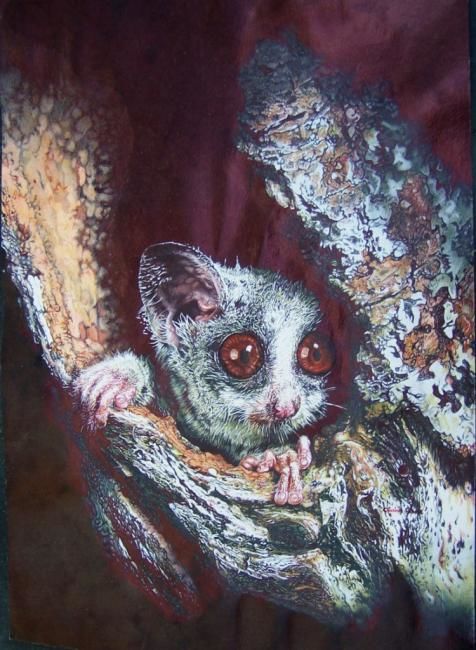 Drawing titled "Bushbaby" by Clasina Roodt, Original Artwork