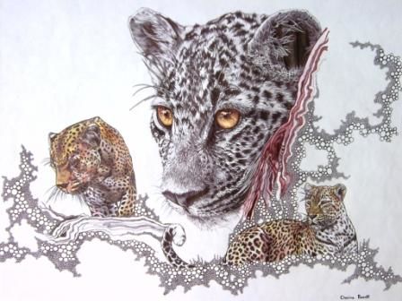 Dessin intitulée "Leopard" par Clasina Roodt, Œuvre d'art originale