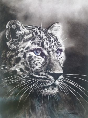 Tekening getiteld "Leopard 1" door Clasina Roodt, Origineel Kunstwerk