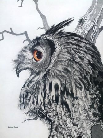 Tekening getiteld "Owl" door Clasina Roodt, Origineel Kunstwerk