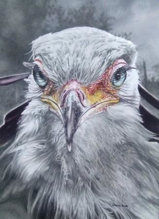 Tekening getiteld "Secretary Bird" door Clasina Roodt, Origineel Kunstwerk