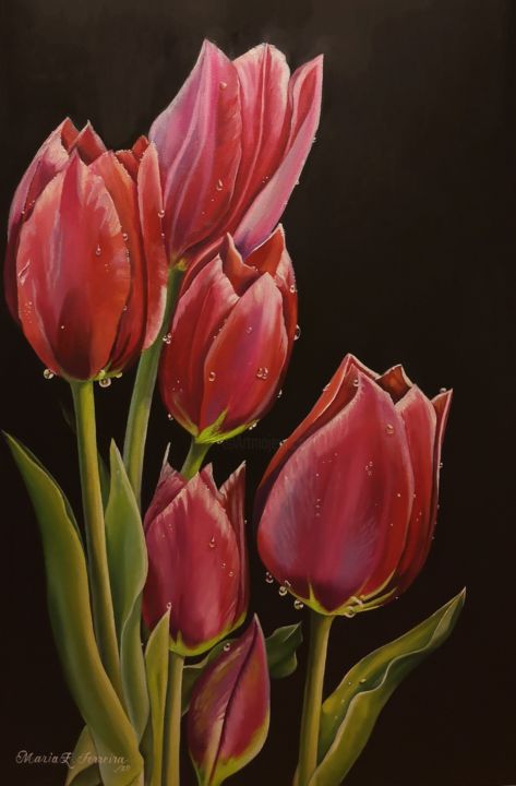 Painting titled "TULIPANES ROJOS" by María Esperanza Ferreira Pinzón, Original Artwork, Oil