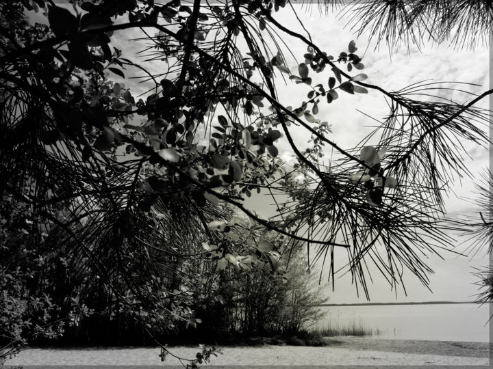 Photographie intitulée "plaisir-de-vivre-5.…" par Chupalia, Œuvre d'art originale