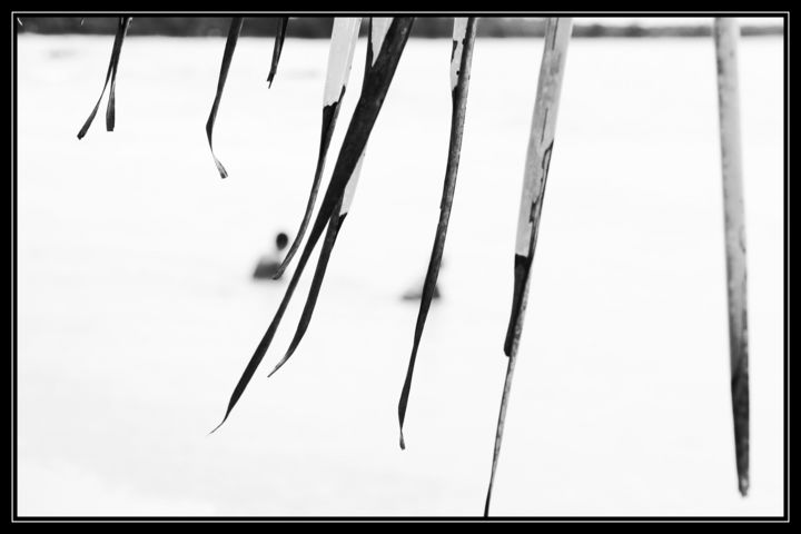 Photographie intitulée "Baignade#1.jpg" par Chupalia, Œuvre d'art originale