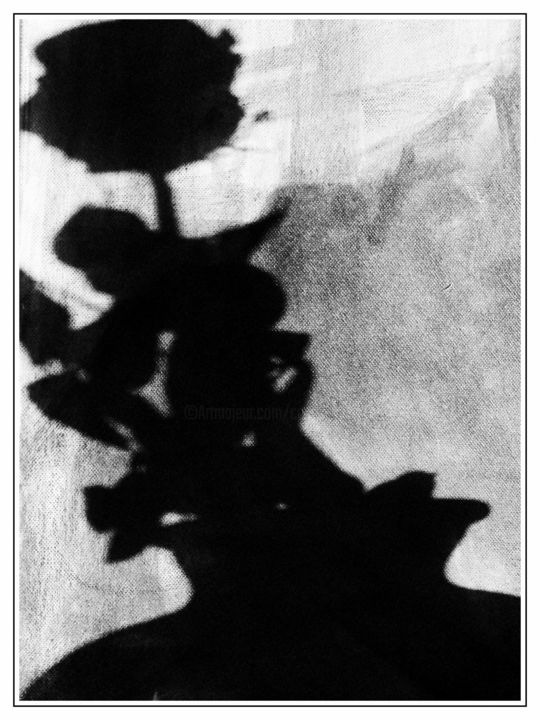 Fotografia zatytułowany „L'ombre de la rose” autorstwa Chupalia, Oryginalna praca, Fotografia nie manipulowana