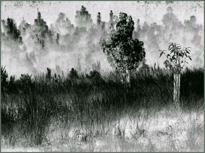 Fotografia intitolato "Sous-la-brume-#1" da Chupalia, Opera d'arte originale