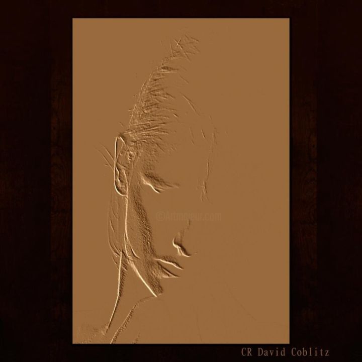Photographie intitulée "Copper Kammie.jpg" par Coblitz David, Œuvre d'art originale, Photographie numérique