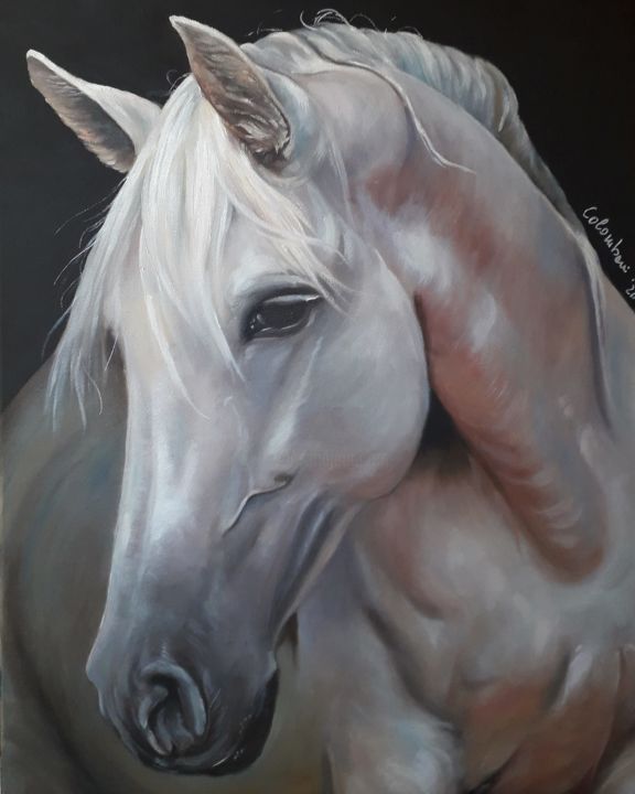"Cavallo bianco" başlıklı Tablo Coralba Colombani tarafından, Orijinal sanat, Petrol