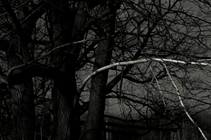 Photographie intitulée "«Au crépuscule»" par Cojan, Œuvre d'art originale, Photographie numérique