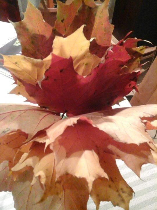 Фотография под названием "feuilles de vigne v…" - Colette Jotterand-Vetter, Подлинное произведение искусства