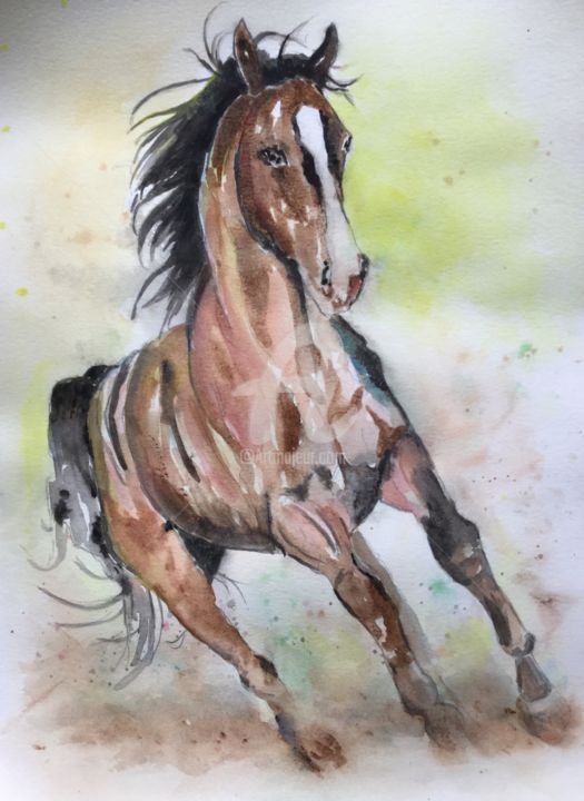 Wild Horse, Painting by Colette Acra | Artmajeur