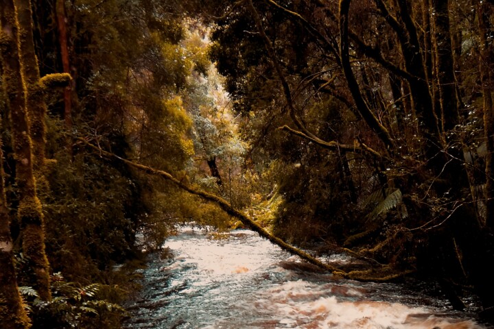 Fotografia intitolato "River adventure" da Colin Jones, Opera d'arte originale, Fotografia digitale