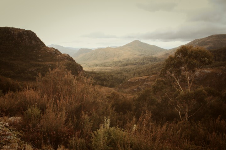 Fotografia intitolato "Misty high country" da Colin Jones, Opera d'arte originale, Fotografia digitale