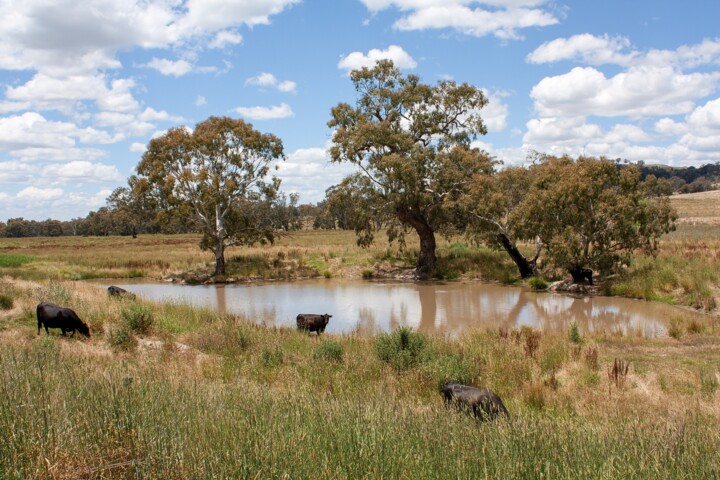 Photography titled "Rural scene" by Colin Jones, Original Artwork, Digital Photography