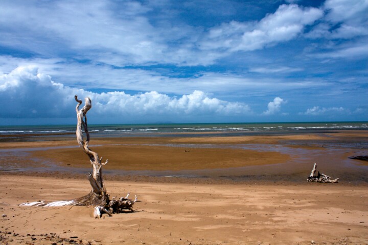 Photographie intitulée "Sentinel at low tide" par Colin Jones, Œuvre d'art originale, Photographie numérique