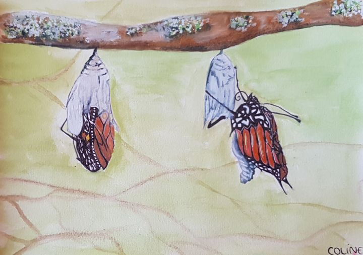 Peinture intitulée "Butterfly" par Coline Cabré, Œuvre d'art originale, Aquarelle