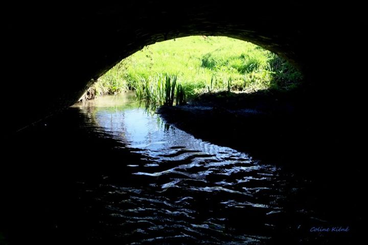 Fotografia intitolato "le-ruisseau.jpg" da Coline Kiéné, Opera d'arte originale