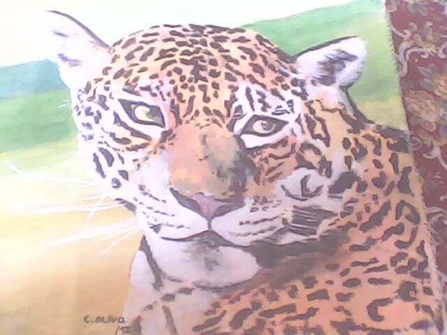 Pintura intitulada "tigre" por C.Oliva, Obras de arte originais, Óleo