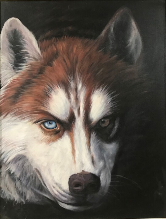 Painting titled "Husky" by Collection Animaux, Original Artwork, Acrylic