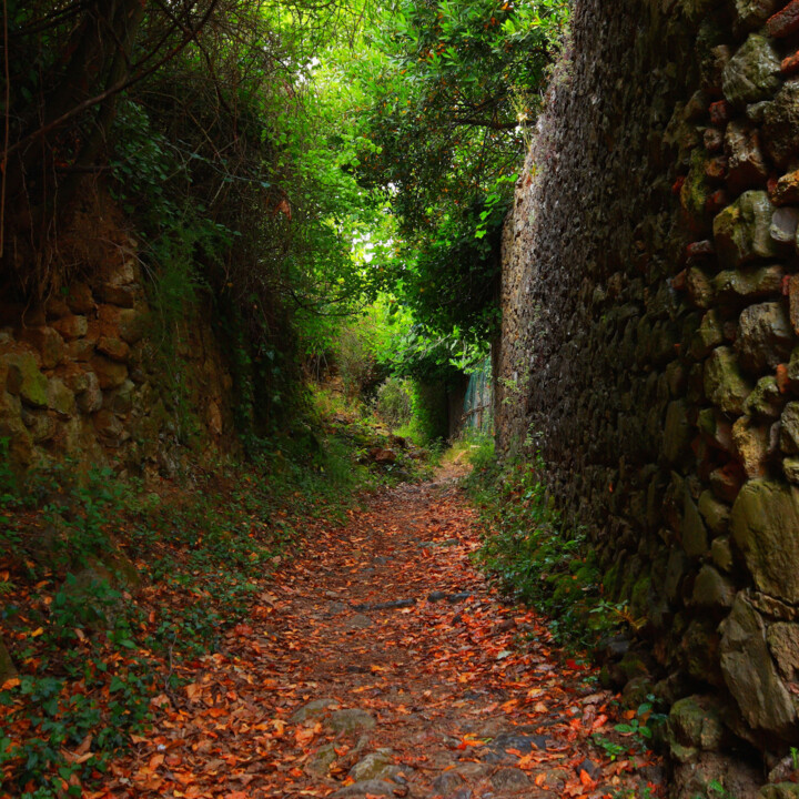 Fotografie getiteld ""Chemin du passé"" door Ludovic Vincent, Origineel Kunstwerk, Digitale fotografie