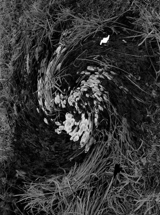 Photographie intitulée "Out of step" par Cometp, Œuvre d'art originale, Photographie numérique