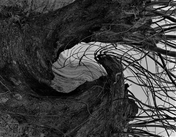 Photographie intitulée "My twisted view on…" par Cometp, Œuvre d'art originale, Photographie numérique