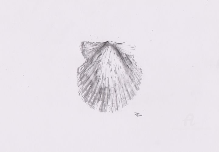 Drawing titled "Concha" by Constance Robine, Original Artwork, Graphite