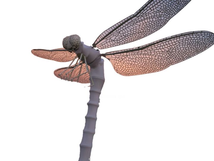 雕塑 标题为“Dragonfly” 由Constantin Hadîrcă, 原创艺术品, 金属