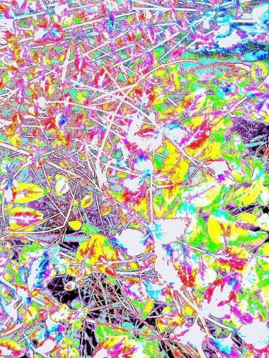 Картина под названием "Flood of colour" - Greg Powell, Подлинное произведение искусства, 2D Цифровая Работа