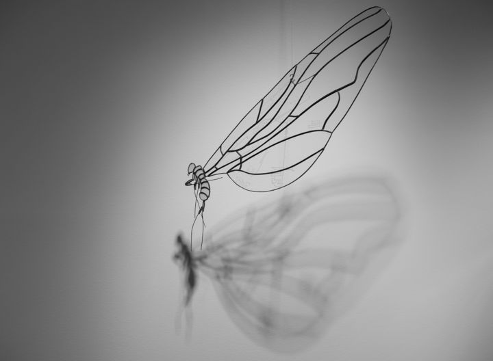 Sculpture intitulée "Les papillons du Ya…" par Annabelle Nicole, Œuvre d'art originale, Verre
